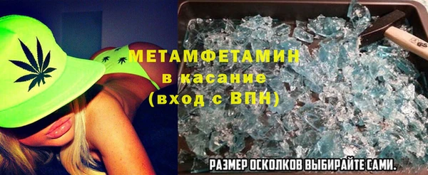сатива Новокубанск