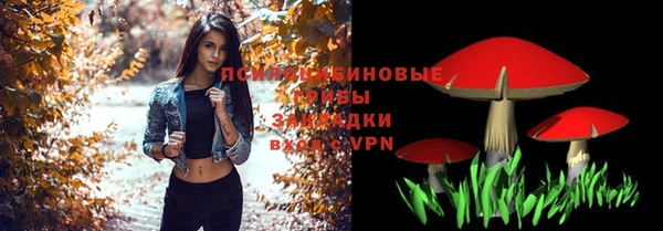 соль ск Нефтекумск