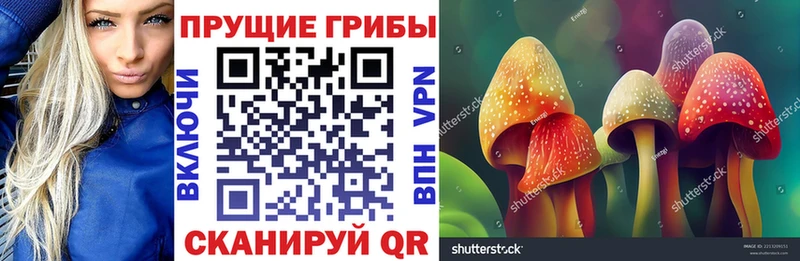 цена наркотик  Куровское  Галлюциногенные грибы Magic Shrooms 